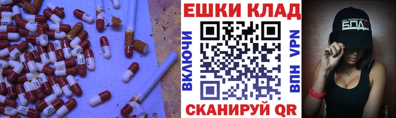 купить закладку  ссылка на мегу сайт  Ecstasy Punisher  Новосиль 