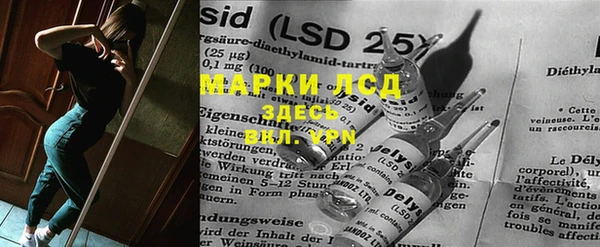 стаф Баксан