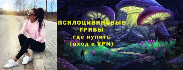 прущая мука Армянск