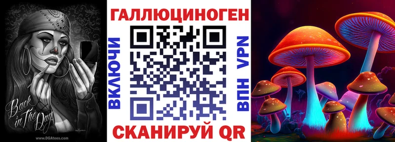 кракен рабочий сайт  Новосиль  Псилоцибиновые грибы Psilocybe  даркнет сайт 